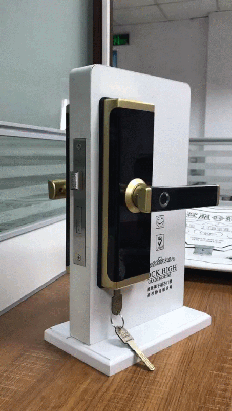 Smart Home keyless door lock